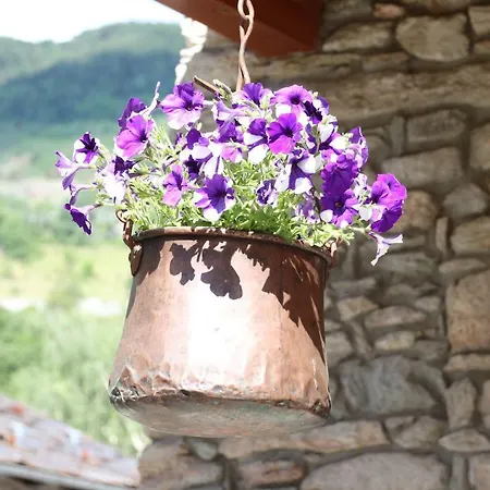 Apartament La Casa Di Nonno 